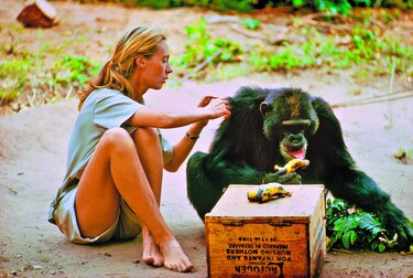 Jane Goodall, una mujer libre