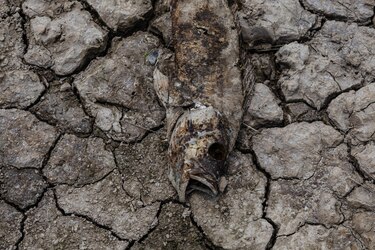 La severa sequía en la Amazonía brasileña afecta a 633 mil personas y 62 ciudades