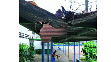 Advierten que 493 escuelas presentan daños