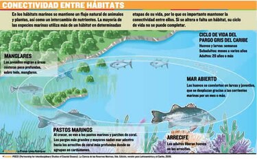 La importancia de las reservas marinas