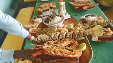 La ciudad celebrará con música, gastronomía y más