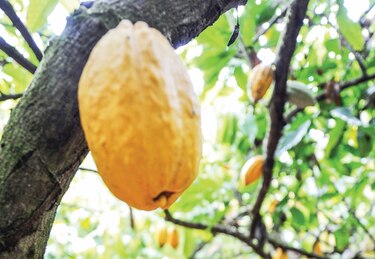 $283.3 millones invierte el sector privado en occidente