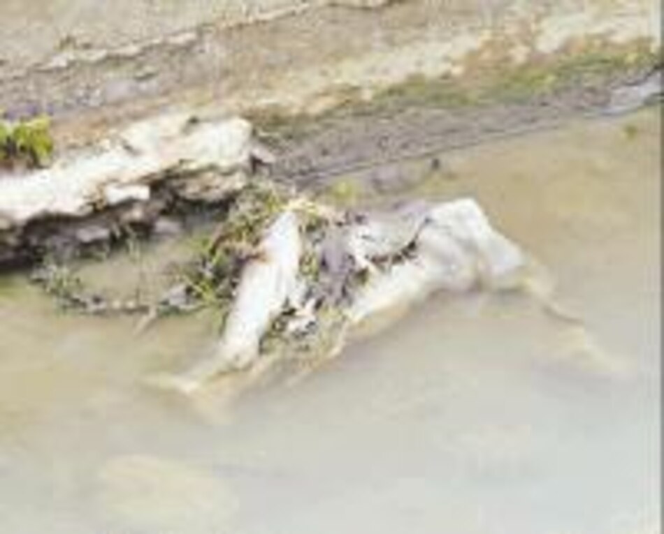 Tanques sépticos contaminan ríos