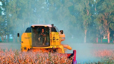 Exceso de agua afecta cultivos en Argentina
