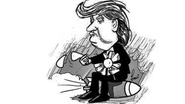 Deshojando la margarita