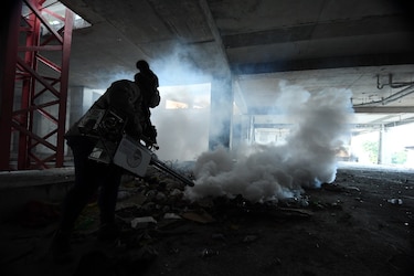 Sáez-Llorens: ‘la vacuna contra el dengue tiene buen perfil de seguridad y eficacia’