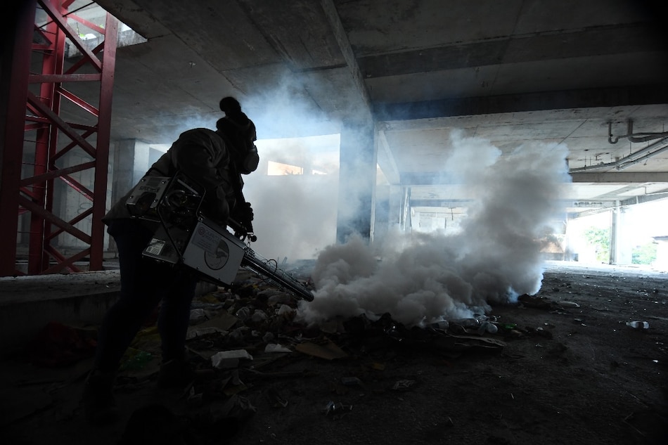 Vacuna del dengue: Panamá la estudia, la OMS la aprueba, pero aún no llega al país