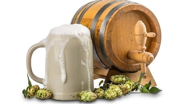 Micro Brew Fest, un agasajo a la alquimia cervecera