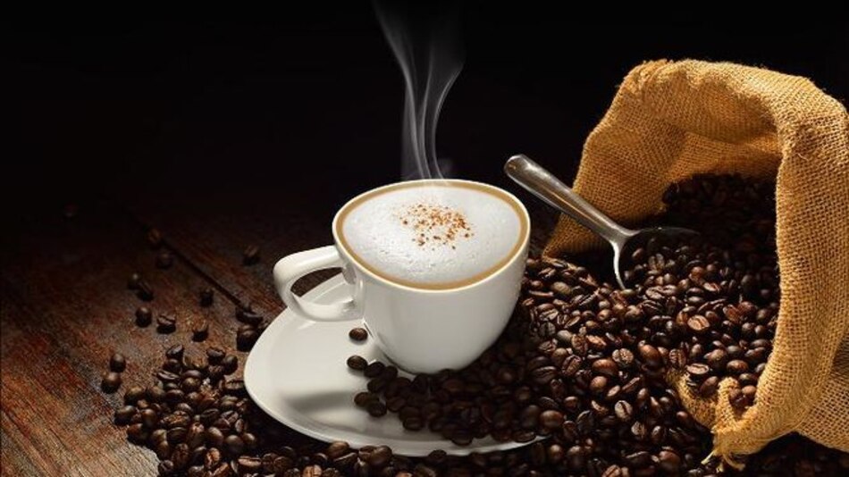 El café se transforma en profesión