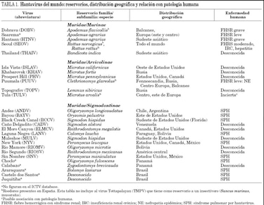 Hantavirus y covid-19 no son iguales: expertos descartan otra pandemia