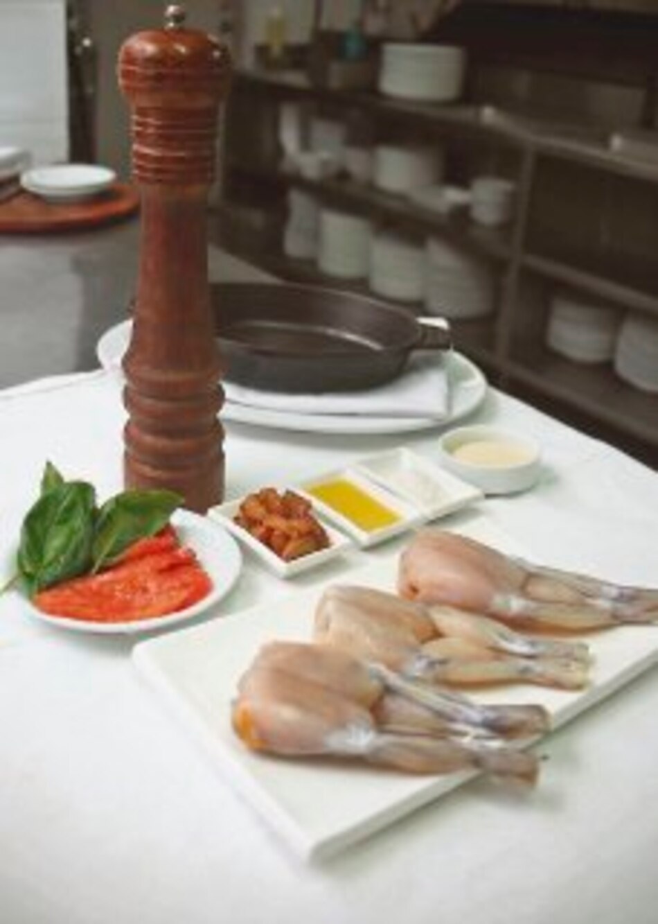 Un batracio bienvenido