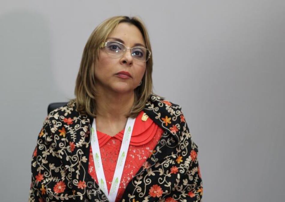 Abigail Benzadón 'censura' propuesta de ley que acorta su periodo en la Antai