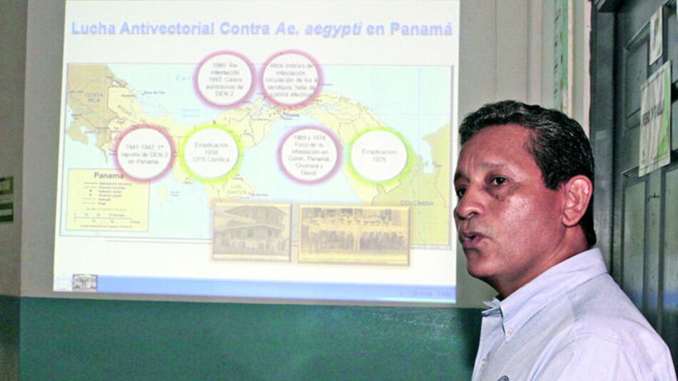 Vector transgénico es 93% efectivo