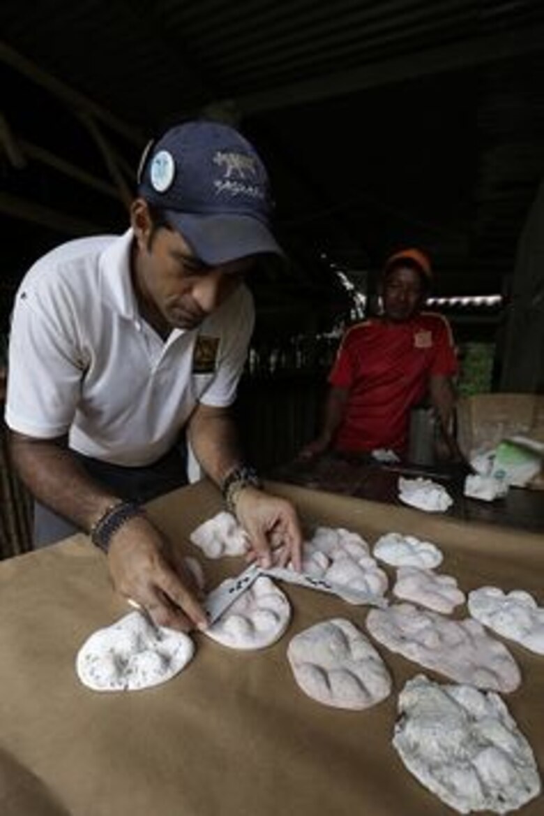 Atesoran la huella del jaguar al otro lado del lago Alajuela