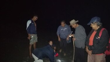 Protegen a cerca de mil 700 embriones de tortugas en vivero artificial de Isla Cañas