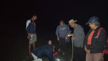 Protegen a cerca de mil 700 embriones de tortugas en vivero artificial de Isla Cañas