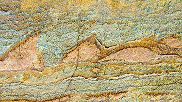 Estromatolitos y el origen de la vida en el planeta