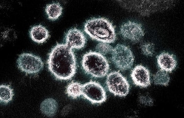 Cóctel de anticuerpos Regeneron evita covid en contacto estrecho