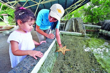 Aprendiendo sobre ambiente