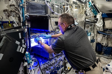 En una nave de SpaceX regresarán en febrero los astronautas del Starliner