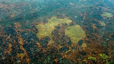 G7 desbloqueará ayuda de emergencia para enviar aviones hidrantes a la Amazonía