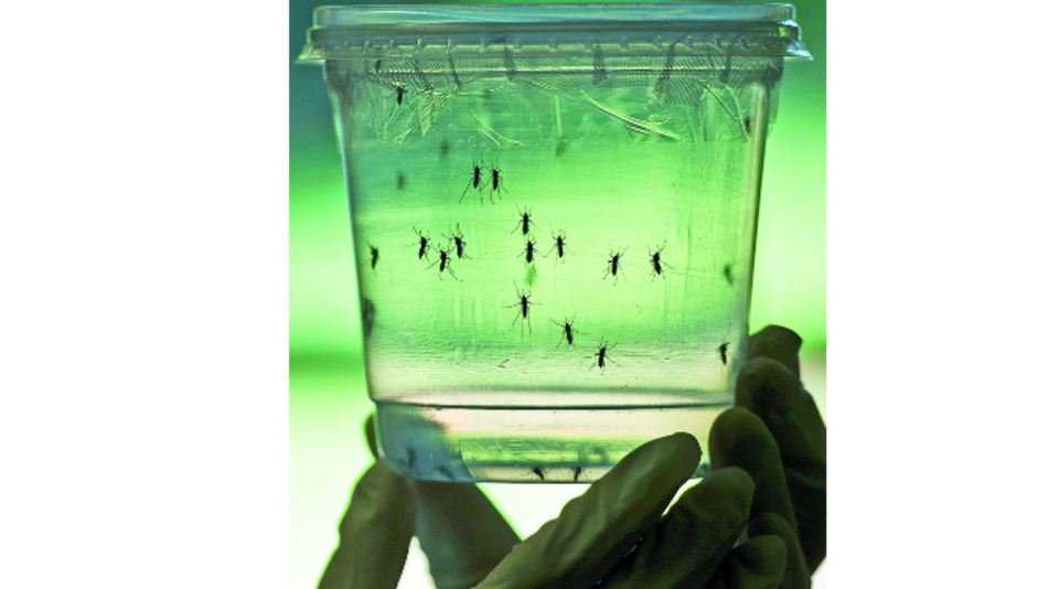 Lo que nos deja 2016 en ciencia