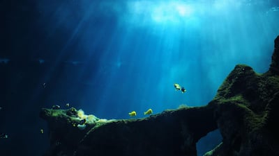 La temperatura de los océanos marcó un nuevo récord en 2025