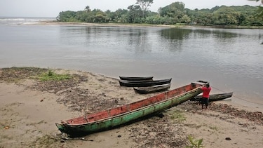 Estado busca probar evasión fiscal en la venta de tierras