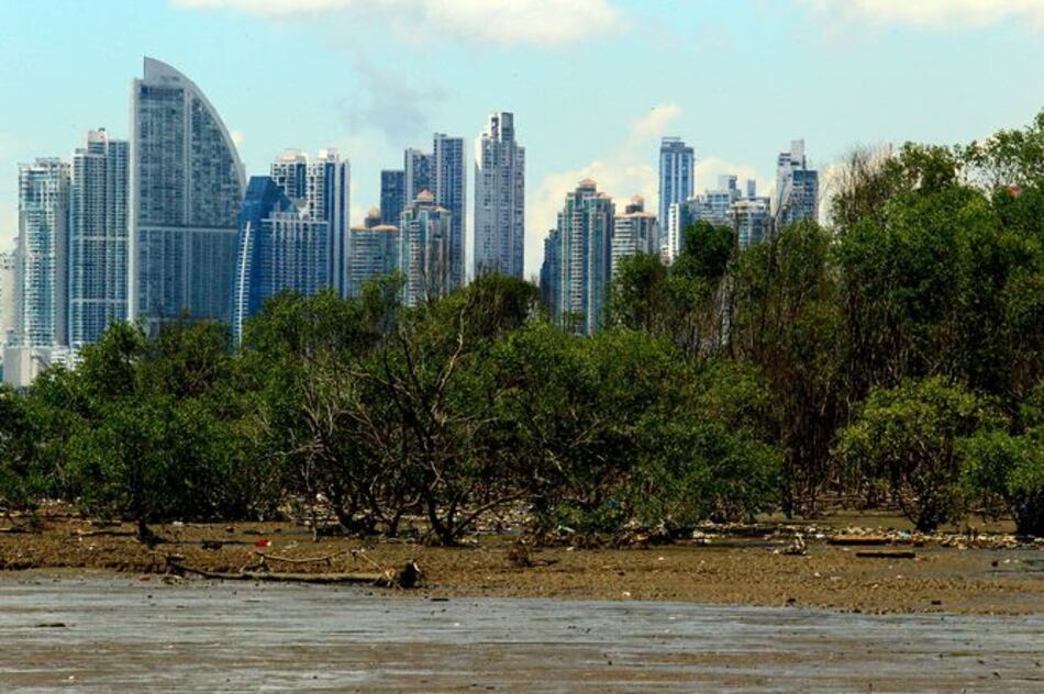 Plan para humedal, a paso lento