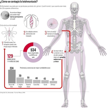 Científicos del Gorgas desarrollan crema tópica contra la leishmaniasis