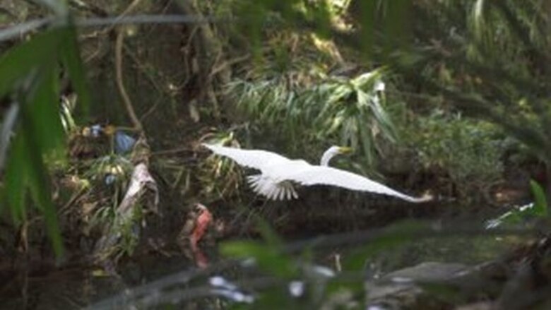 Río que brilla, río que muere