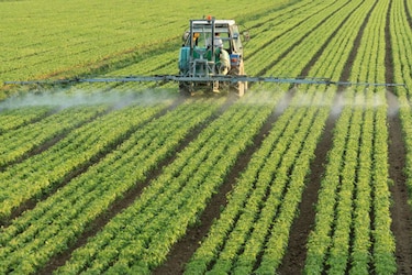 Estados Unidos autoriza primera fábrica en Cuba desde 1959
