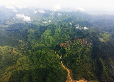 Encuentran especies endémicas en el Parque Nacional Cerro Hoya