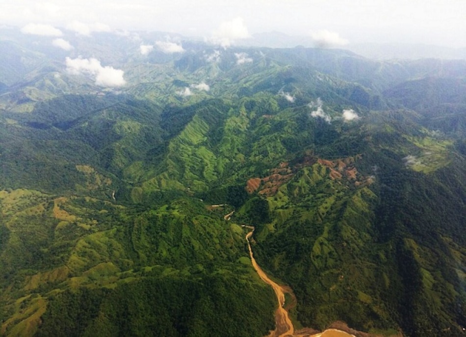 Encuentran especies endémicas en el Parque Nacional Cerro Hoya