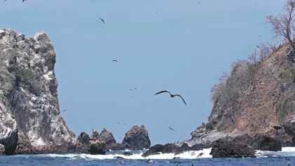 Procurador solicita por segunda ocasión información a Sempris sobre isla Boná