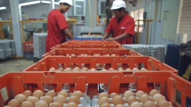 Alimentos suben pese a la reducción del IPC