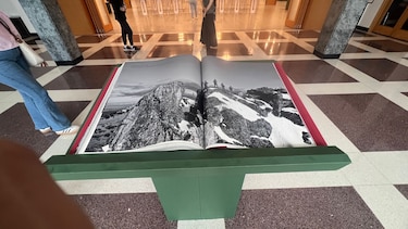 Arte y comunidad, la exposición que impulsa la revitalización rural y el cuidado del ambiente en China