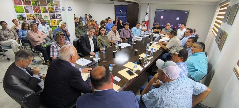 ¿Qué ocurre con el arroz en Panamá? Productores temen pérdidas en la cosecha mientras la industria justifica las importaciones