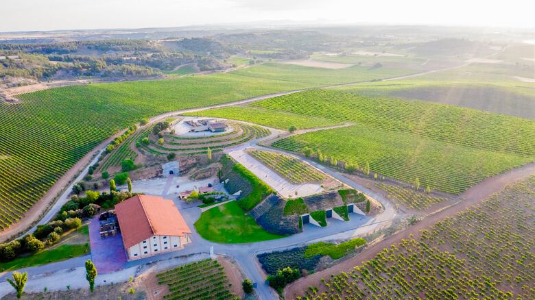 Un blanco entre los mejores vinos de Europa