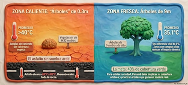 El precio de construir sin árboles: la sombra desaparece y el calor se queda