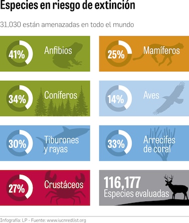 852 nuevas especies en riesgo