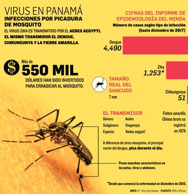 Usarán la bacteria ‘Wolbachia wMel’ contra el ‘Aedes aegypti’