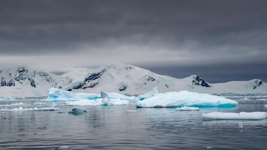¿Cómo ha cambiado la Tierra en 58 años?: lo que revelan las fotos de Artemis II