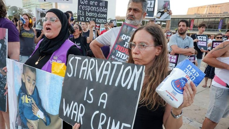 Más de 100 agencias de ayuda humanitaria denuncian que la hambruna masiva se extiende en Gaza