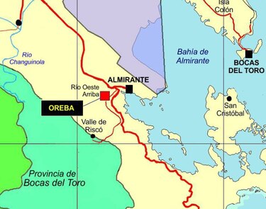 El reconocido chef Jordi Roca explora el cacao orgánico en Panamá: un viaje enriquecedor