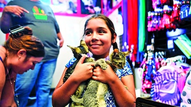 Un hogar tras Matthew