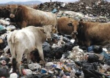 Adiós al problema de los desechos