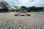Lagos de la capital costarricense sufren por falta de lluvias