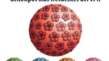 Armas contra el cáncer de cérvix