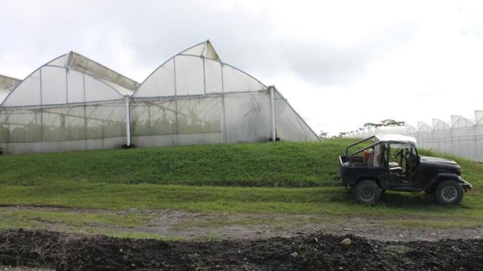 Invernaderos se toman las tierras altas chiricanas